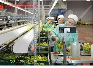 供應食品白色耐油1.2mmpu輸送帶,供應食品白色耐油1.2mmpu輸送帶生產廠家,供應食品白色耐油1.2mmpu輸送帶價格